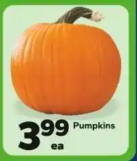 Save a Lot Pumpkins offer