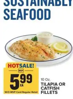 Food Lion Tilapia or Catfish Fillets offer