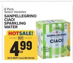 Food Lion SANPELLEGRINO CIAO! SPARKLING WATER offer