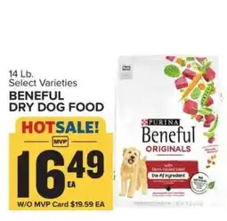Food Lion Purina Beneful Dry Dog Food offer