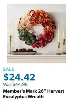 Sam's Club Member's Mark 26 Harvest Eucalyptus Wreath offer