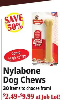 Ocean State Job Lot Nylabone Dog Chews offer