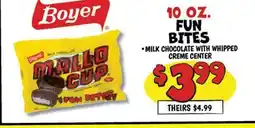 Ollie's FUN BITES offer