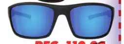 Big 5 Bolle Skyline Polarized Sunglasses offer