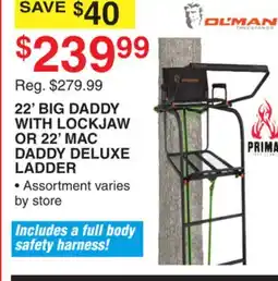 Dunham's Sports 22' BIG DADDY WITH LOCKJAW OR 22' MAC DADDY DELUXE LADDER offer