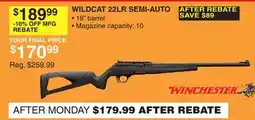 Dunham's Sports WILDCAT 22LR SEMI-AUTO offer