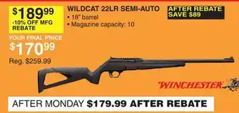 Dunham's Sports WILDCAT 22LR SEMI-AUTO offer