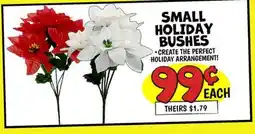 Ollie's SMALL HOLIDAY BUSHES offer
