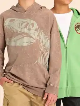 Target Jurassic Park Boys' Cosplay full zip pullover hoodie offer