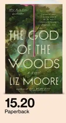 Target The God of the Woods Paperback offer