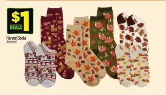 Dollar General Harvest Socks offer