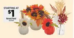 Dollar General Harvest Floral offer