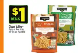 Dollar General Clover Valley Pasta or Rice Sides offer