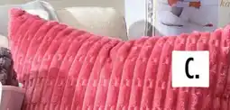 Dollar General Throw Pillow offer