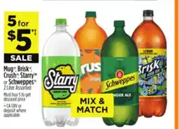 Dollar General Mug , Brisk , Crush , Starry or Schweppes offer