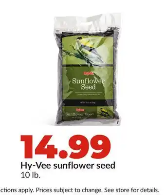 Hy-Vee Hy-Vee sunflower seed offer