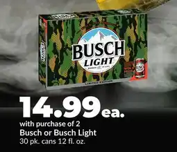 Hy-Vee Busch or Busch Light offer