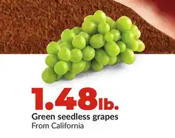 Hy-Vee Green seedless grapes offer