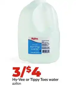 Hy-Vee Hy-Vee or Tippy Toes water offer