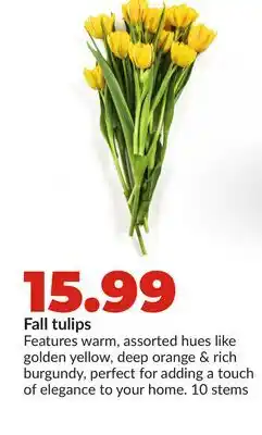 Hy-Vee Fall tulips offer