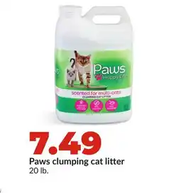 Hy-Vee Paws clumping cat litter offer