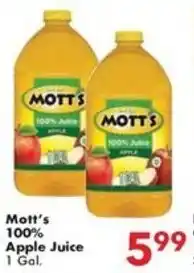 Fairplay Mott's 100% Apple Juice offer
