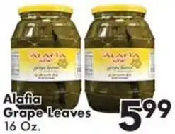Fairplay Alafia Grape Leaves offer