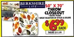 Ollie's BERKSHIRE 50 x 70 THROW CLOSEOUT offer