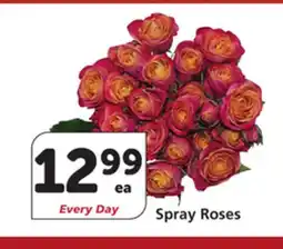 Albertsons Spray Roses offer