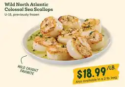 Sprouts Farmers Market Wild North Atlantic Colossal Sea Scallops offer