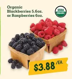 Sprouts Farmers Market Organic Blackberries 5.6oz. or Raspberries 6oz offer