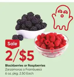 Stater Bros Blackberries or Raspberries offer