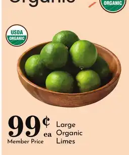 Pavilions Large Organic Limes offer