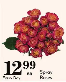 Pavilions Spray Roses offer
