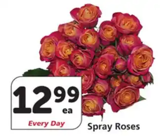 Vons Spray Roses offer