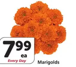 Vons Marigolds offer