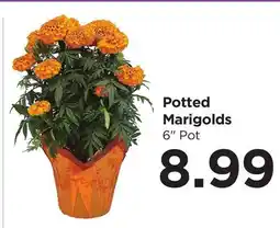 Food 4 Less Potted Marigolds offer