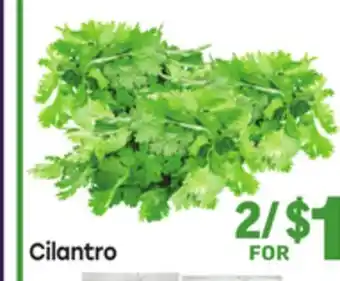 Tony’s Fresh Market Cilantro offer