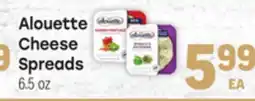 Tony’s Fresh Market Alouette Cheese Spreads offer