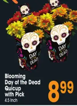 Jewel-Osco Blooming Day of the Dead Quicup with Pick offer