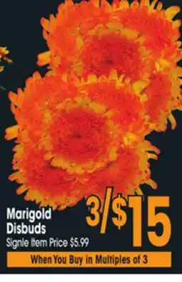 Jewel-Osco Marigold Disbuds offer