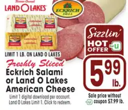 Jewel-Osco Eckrich Salami or Land O Lakes American Cheese offer