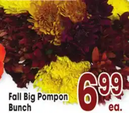 Jewel-Osco Fall Big Pompon Bunch offer