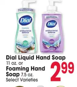 Jewel-Osco Dial Liquid Hand Soap 11 oz. or Foaming Hand 7.5 oz offer