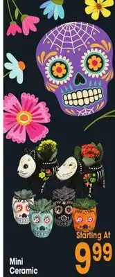 Jewel-Osco Mini Ceramic offer