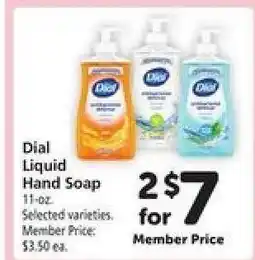 Safeway Dial Liquid Hand Soap offer