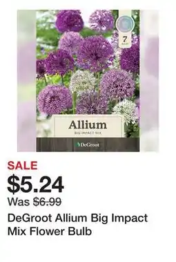 Tractor Supply Company DeGroot Allium Big Impact Mix Flower Bulb offer