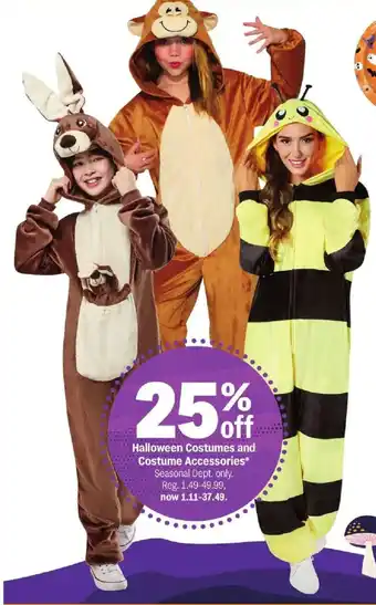 Halloween Costumes and Costume Accessories