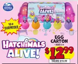 Ollie's EGG CARTON offer
