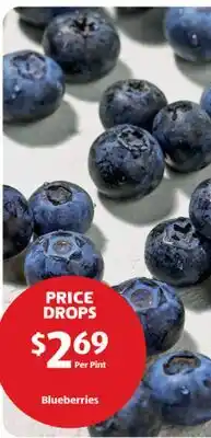 Aldi Blueberries offer